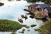 Tonle Sap - Prek Toal floating village - floating houses